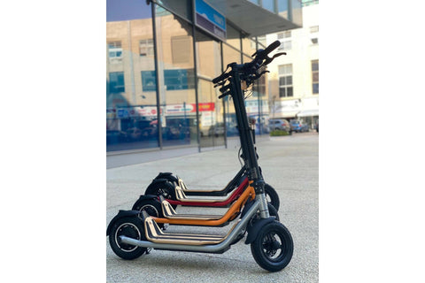 8TEV 8TEV B10 Roam Electric Scooter e-scooter