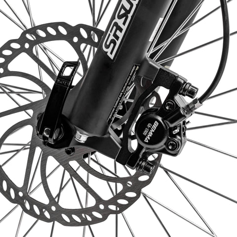 Hydraulic disk brakes