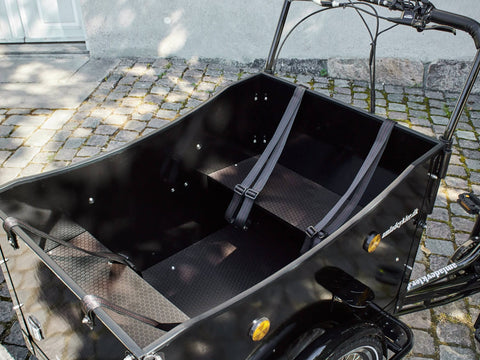 AM Cargo AM Cargo Deluxe E-Cargo Electric Trike Electric Cargo Bikes