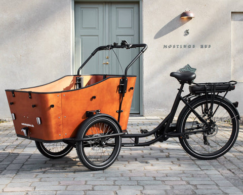 AM Cargo AM Cargo Ultimate Harmony Electric Trike Electric Cargo Bikes