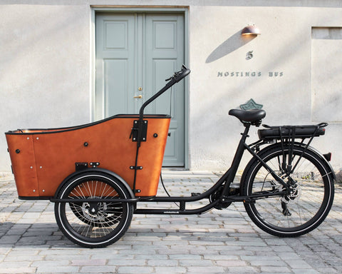 AM Cargo AM Cargo Ultimate Harmony Electric Trike Electric Cargo Bikes