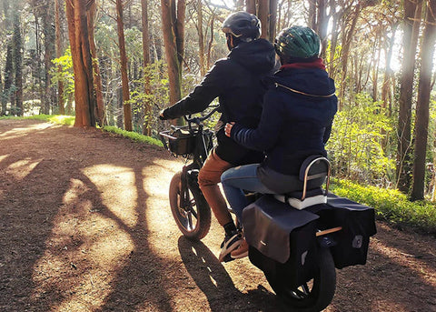 Electroheads Fiido T1 Pro Utility Electric Bike