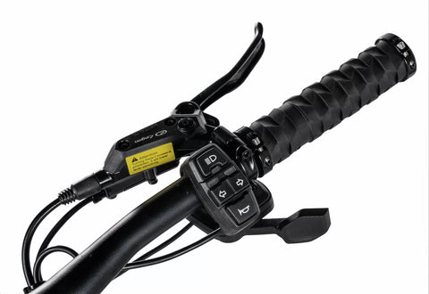 Element Nami Burn-e Max 40ah Electric Scooter Commuter/City scooter