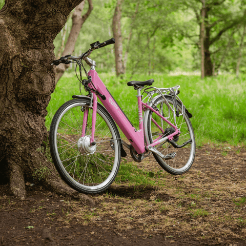 Emu Bikes Emu Classic Step Through Electric Bike Electric Road Bikes