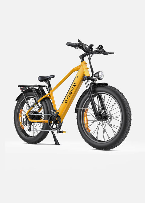 Engwe Engwe E26 High-step All-Terrain Electric Bike