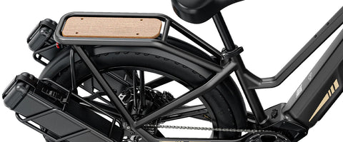 Fiido Fiido Titan Robust Cargo Electric Bike with Torque Sensor and UL certified Electric Bikes with Fat Tyres