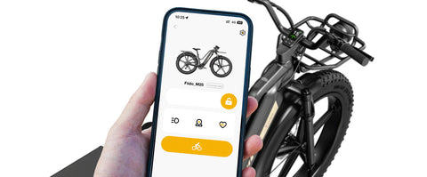 Fiido Fiido Titan Robust Cargo Electric Bike with Torque Sensor and UL certified Electric Bikes with Fat Tyres