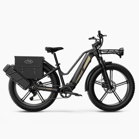 Fiido Fiido Titan Robust Cargo Electric Bike with Torque Sensor and UL certified Electric Bikes with Fat Tyres