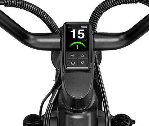 Fiido Fiido Titan Robust Cargo Electric Bike with Torque Sensor and UL certified Electric Bikes with Fat Tyres