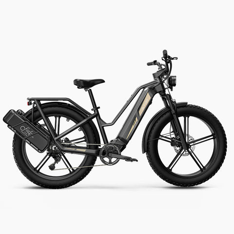Fiido Fiido Titan Robust Cargo Electric Bike with Torque Sensor and UL certified Electric Bikes with Fat Tyres