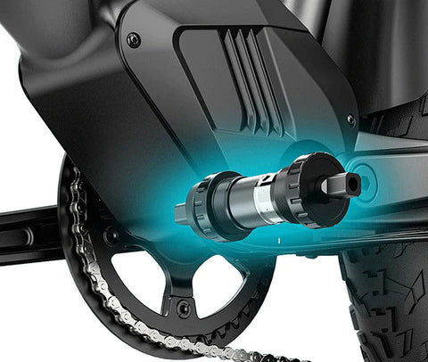 Fiido Fiido Titan Robust Cargo Electric Bike with Torque Sensor and UL certified Electric Bikes with Fat Tyres