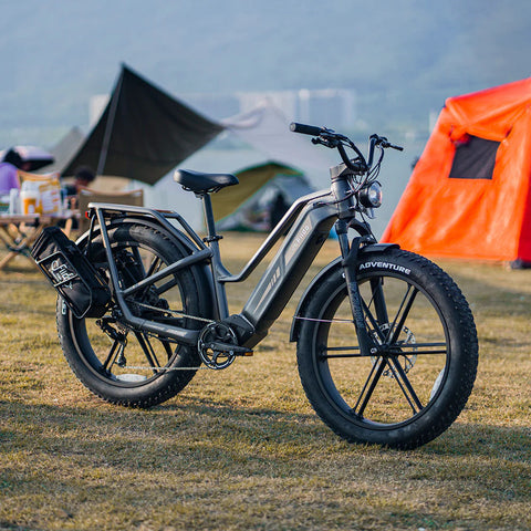 Fiido Fiido Titan Robust Cargo Electric Bike with Torque Sensor and UL certified Electric Bikes with Fat Tyres