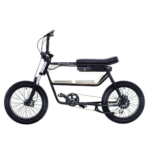 NewGen NewGen 345 electric bike Electric Bikes with Fat Tyres