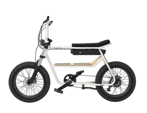 NewGen NewGen 345-S electric bike Electric Bikes with Fat Tyres