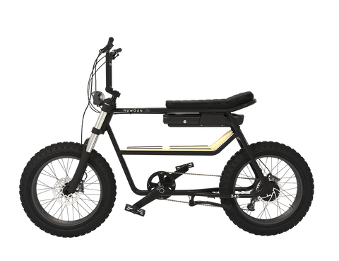 NewGen NewGen 345-S electric bike Electric Bikes with Fat Tyres