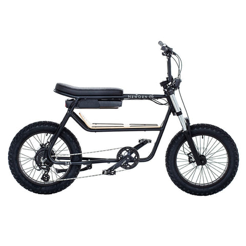 NewGen NewGen 345-S electric bike Electric Bikes with Fat Tyres