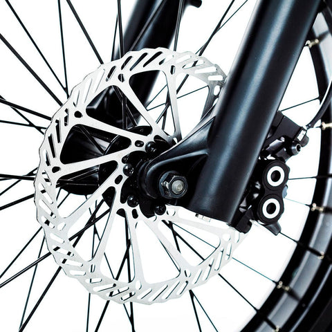 NewGen NewGen 345-S electric bike Electric Bikes with Fat Tyres