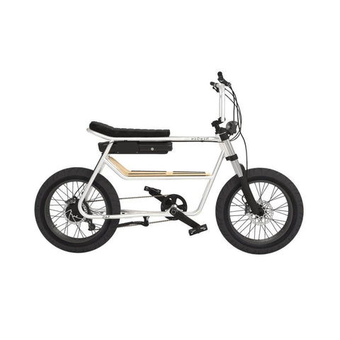 NewGen NewGen 345-S electric bike Electric Bikes with Fat Tyres