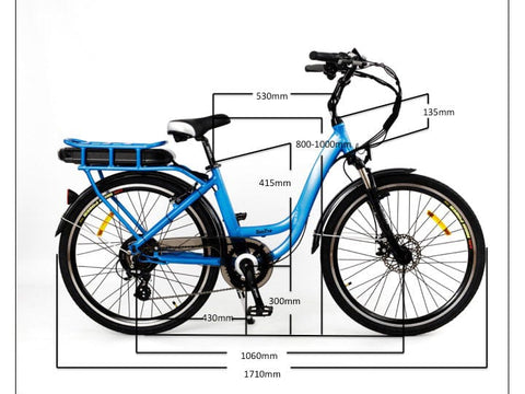 Roodog Roodog Chic Electric Road Bikes
