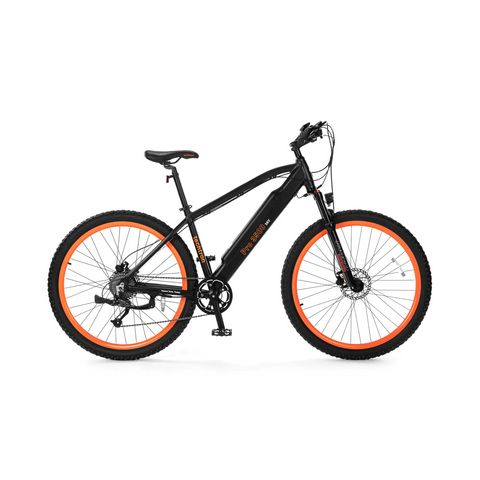 Techtron Techtron Pro 3500 E-Bike