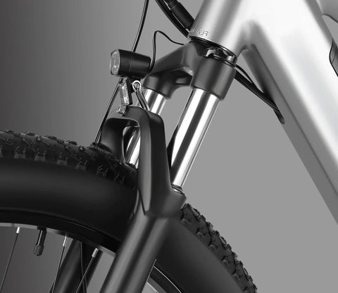 Vanpowers Vanpowers Manidae Electric Bike Electric Road Bikes