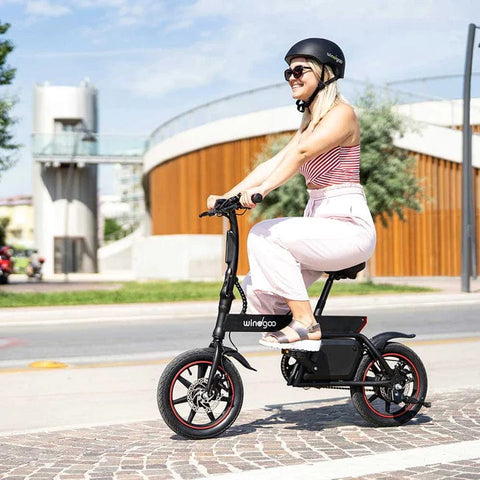 Windgoo Windgoo B20 folding electric bike Electric Folding Bikes