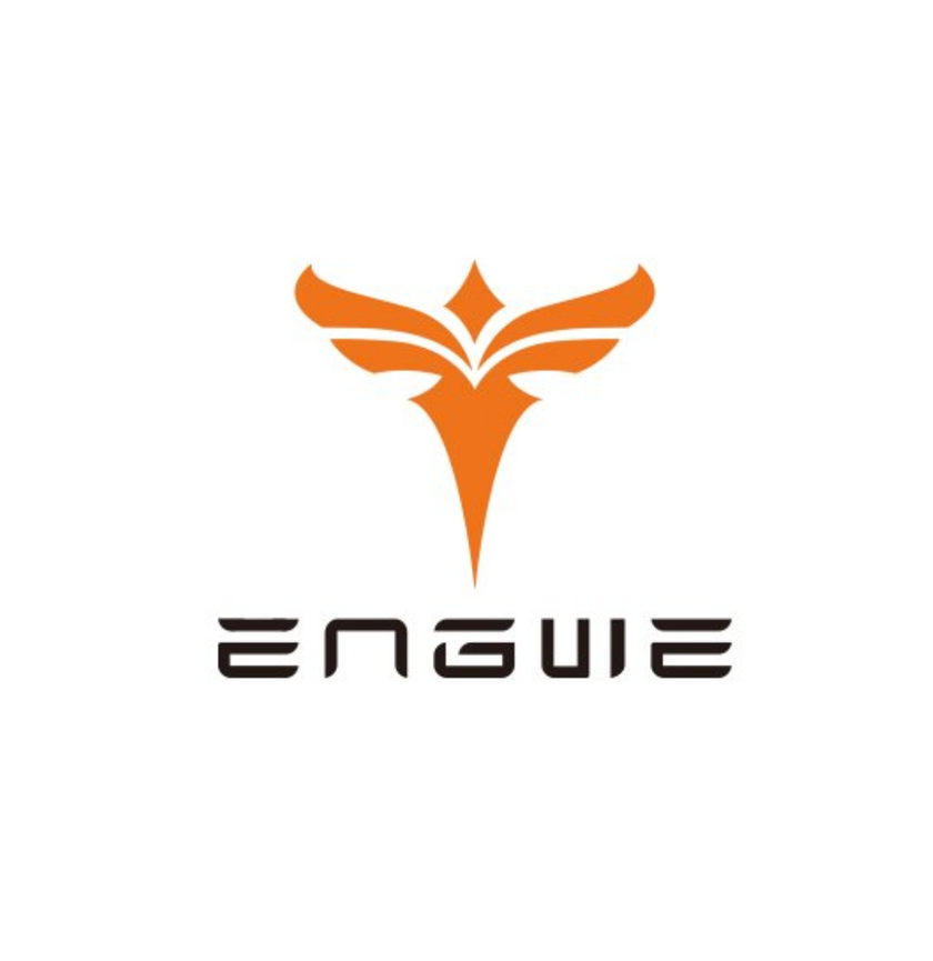 Engwe Engine X Electric Folding Bike Electroheads
