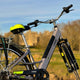 Dallingridge Dallingridge Harlow Step Through Electric Bike Electric Road Bikes