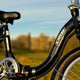 Dallingridge Dallingridge Oxford Folding Electric Bike Electric Folding Bikes