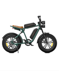 Engwe Copy of Engwe M20 Electric Cruiser Bike (Double Battery) Electric Bikes with Fat Tyres