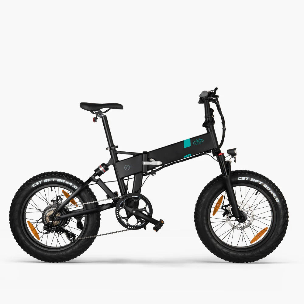 Fiido M21 Fat Tyre Electric Bike With Torque Sensor