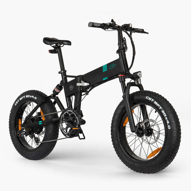 Fiido Fiido M21 Fat Tyre Electric Bike With Torque Sensor – Electroheads ...
