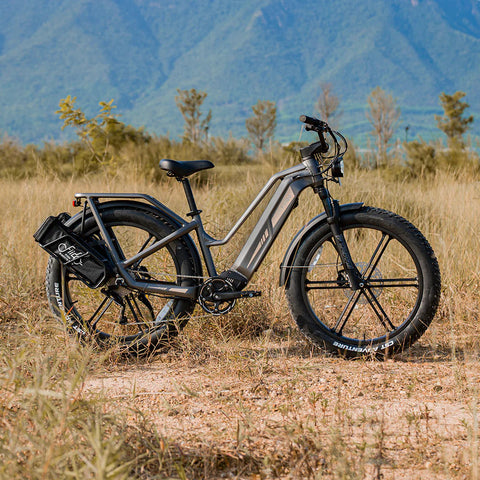 Fiido Fiido Titan Robust Cargo Electric Bike with Torque Sensor and UL certified Electric Bikes with Fat Tyres