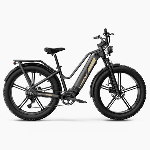 Fiido Fiido Titan Robust Cargo Electric Bike with Torque Sensor and UL certified Electric Bikes with Fat Tyres