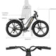 Fiido Fiido Titan Robust Cargo Electric Bike with Torque Sensor and UL certified Electric Bikes with Fat Tyres