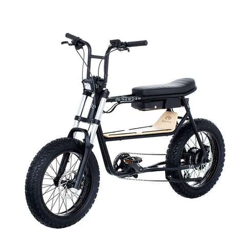 NewGen NewGen 345-S electric bike Electric Bikes with Fat Tyres