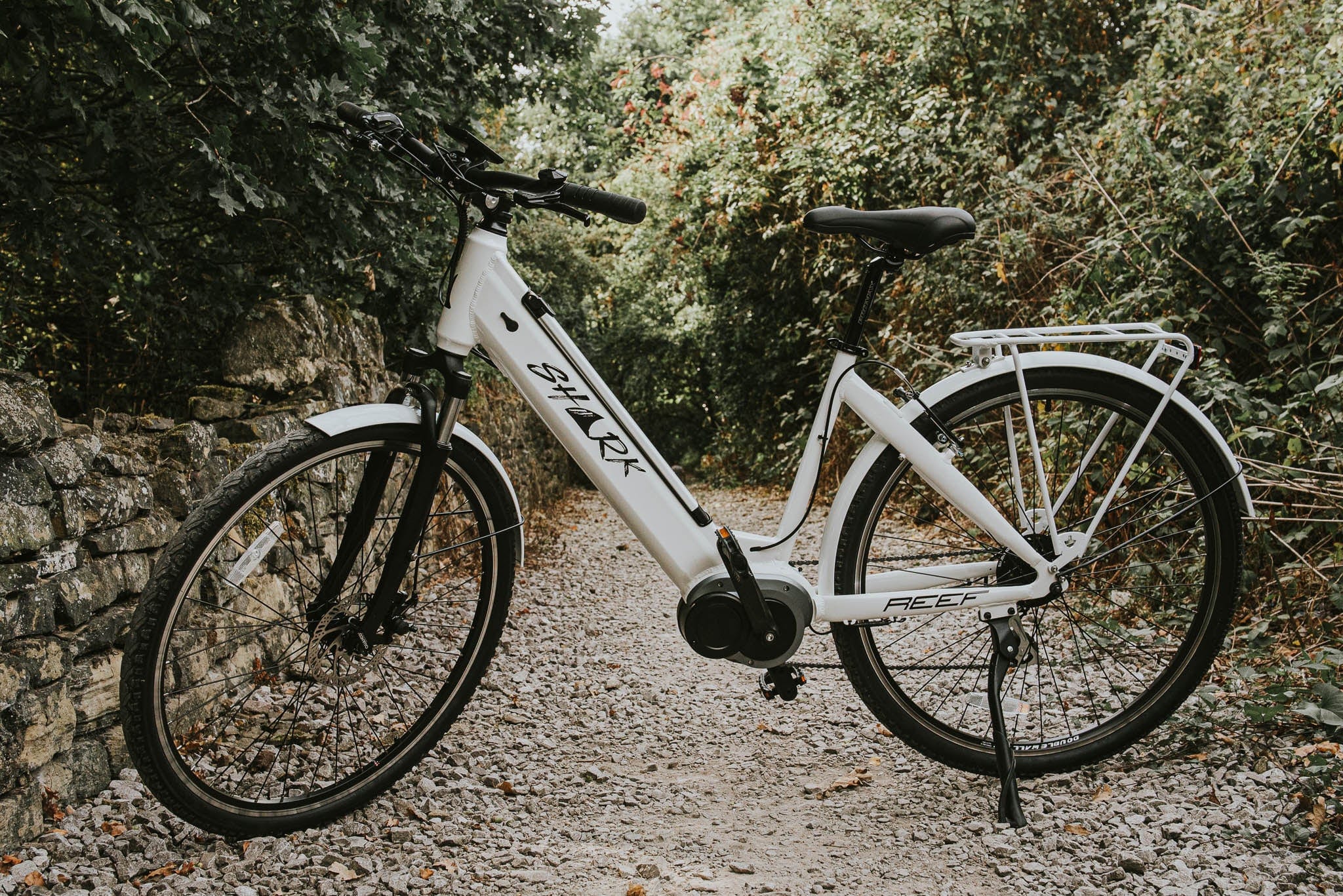 Shark Reef Electric Bike