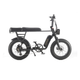 Synch Synch Longtail Monkey fat-tyre electric bike Electric Bikes with Fat Tyres
