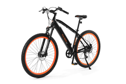 Techtron Techtron Pro 3500 E-Bike