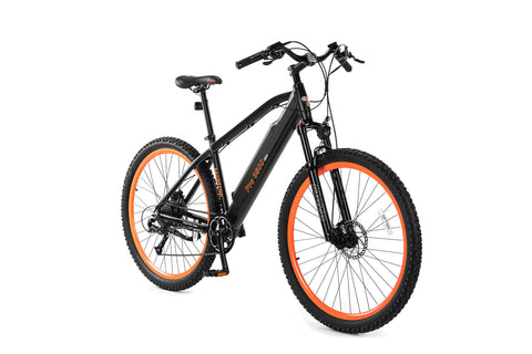 Techtron Techtron Pro 3500 E-Bike