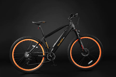 Techtron Techtron Pro 3500 E-Bike