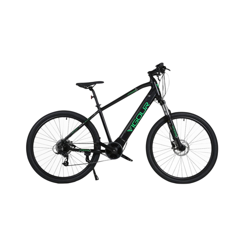 Vitesse Vitesse Vigour electric mountain bike Electric Mountain Bikes